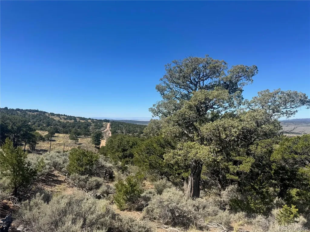 Lot 7878 Stone Road Fort Garland CO 81133