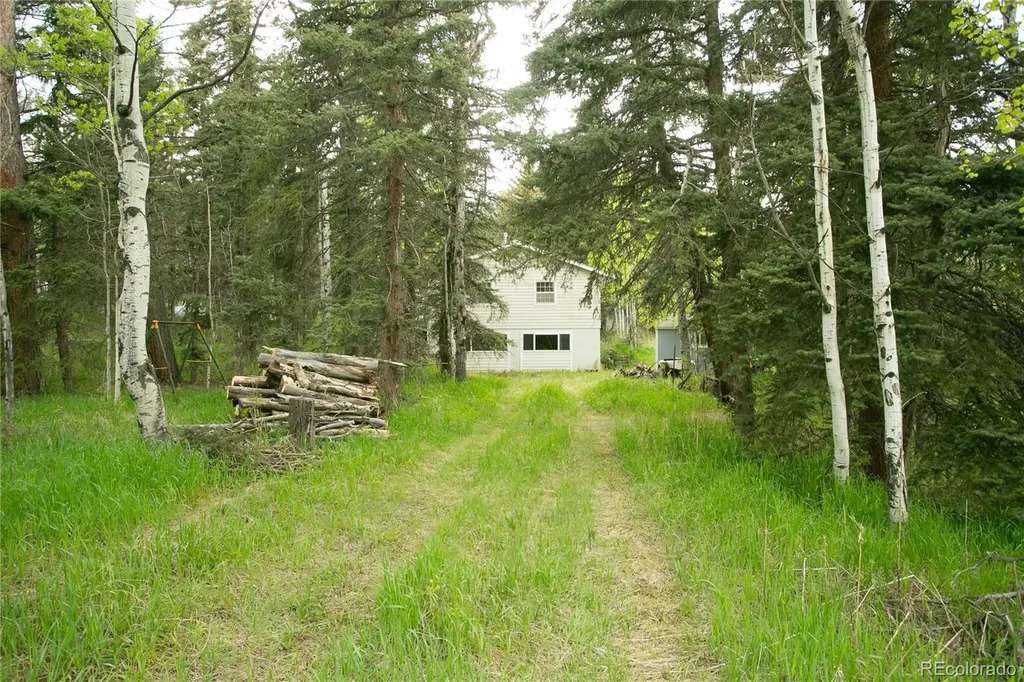 29055 S Sunset Trail Conifer CO 80433