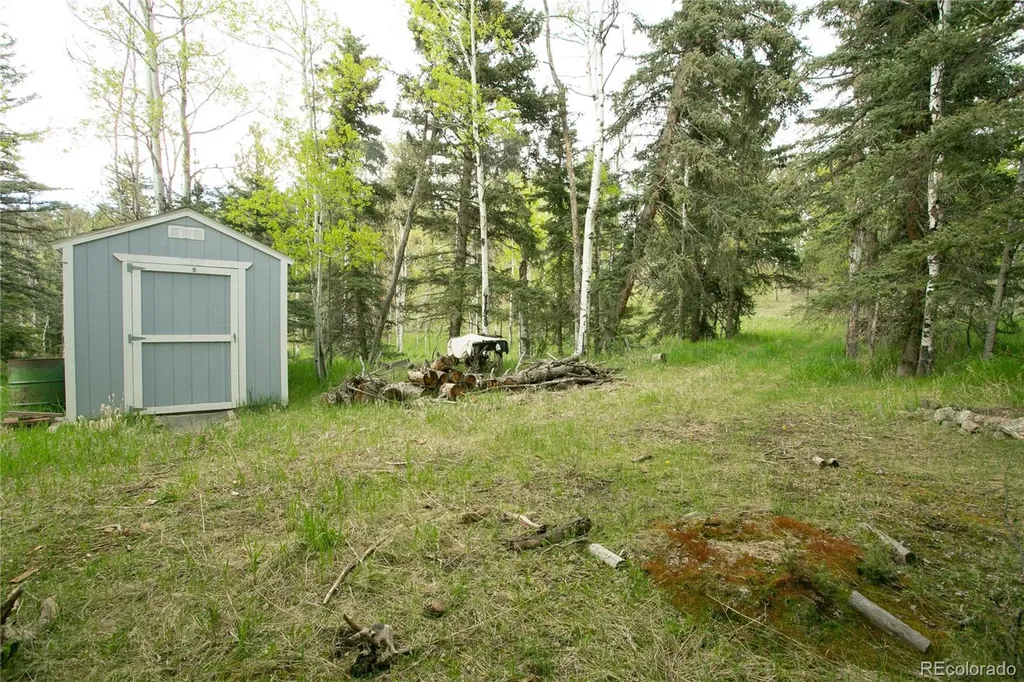 29055 S Sunset Trail Conifer CO 80433