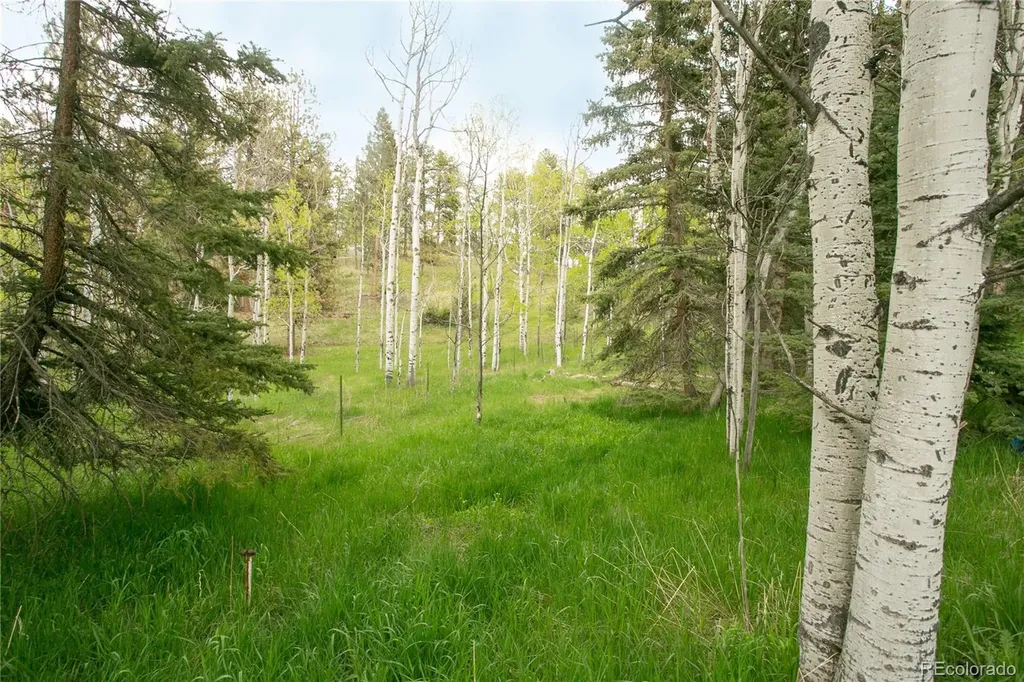 29055 S Sunset Trail Conifer CO 80433