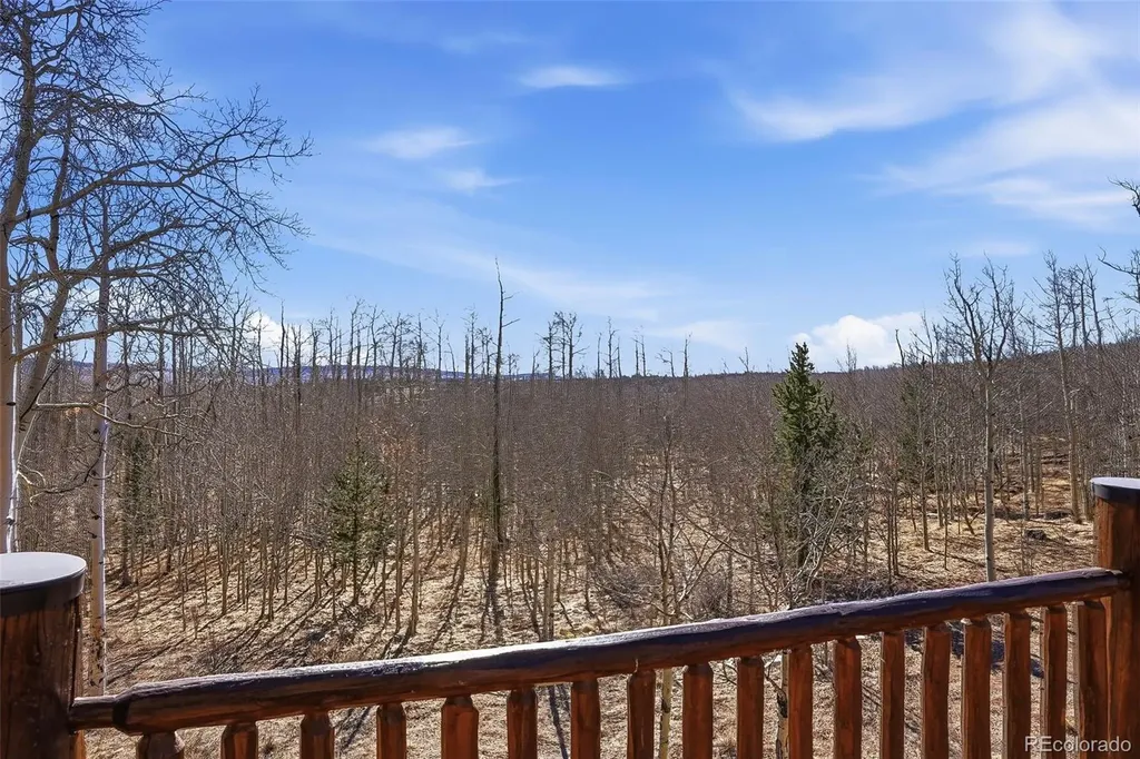 252 Iron Mountain Road Fairplay CO 80440