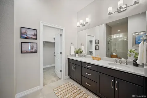 332 Alumroot Street Castle Rock CO 80104