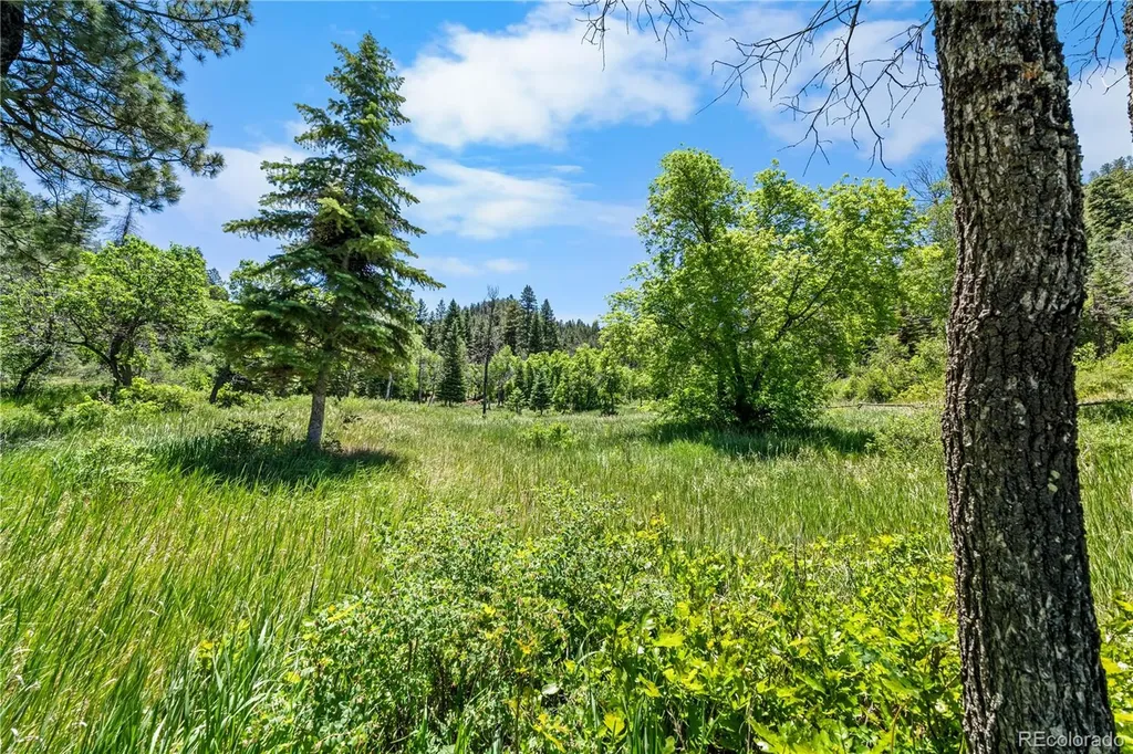 1134 Parelli Institute Drive Pagosa Springs CO 81147