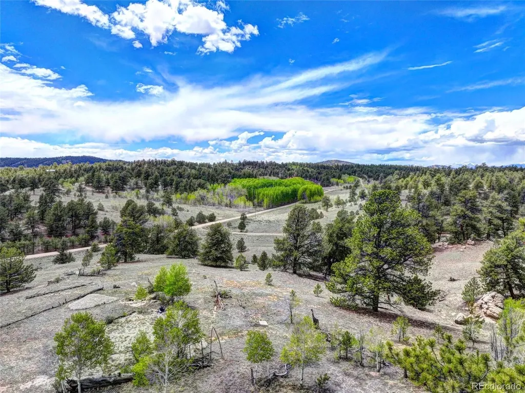 33 Jasper Way Hartsel CO 80449