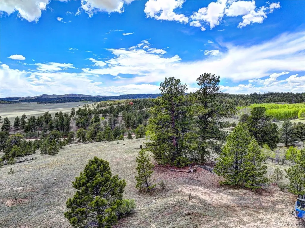 33 Jasper Way Hartsel CO 80449