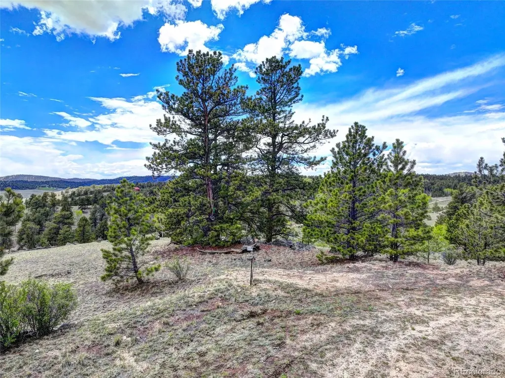 33 Jasper Way Hartsel CO 80449