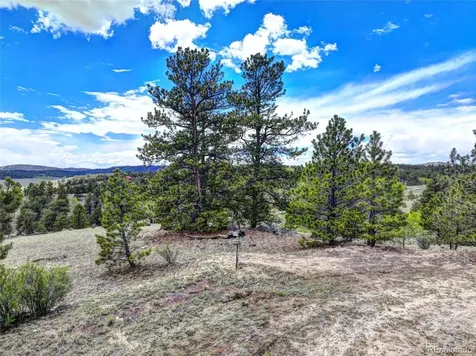 33 Jasper Way Hartsel CO 80449