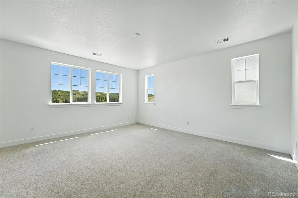 3418 Backdrop Court Castle Rock CO 80108