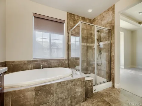 9241 Grafton Drive Lone Tree CO 80124