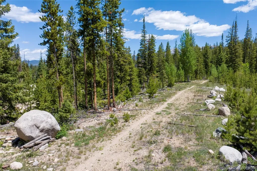 310 Arapahoe Road Winter Park CO 80482