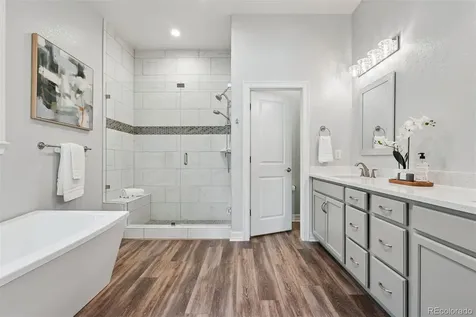 532 Woodroot Circle Castle Rock CO 80104