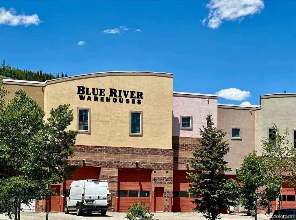 220 Buffalo Mountain Drive Silverthorne CO 80498