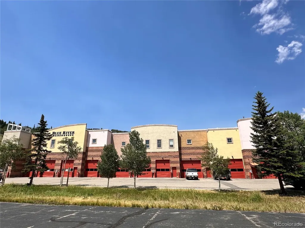 220 Buffalo Mountain Drive Silverthorne CO 80498