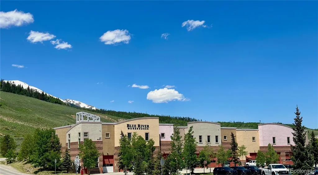 220 Buffalo Mountain Drive Silverthorne CO 80498