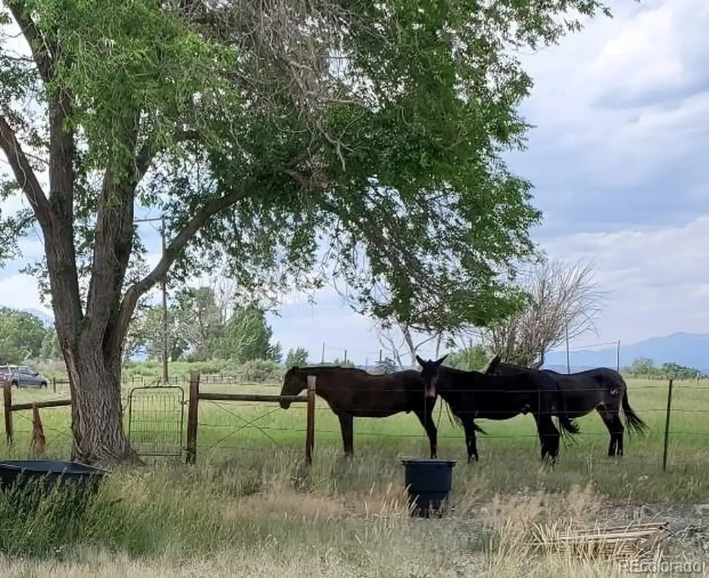 8650 Us Highway 285 Salida CO 81201