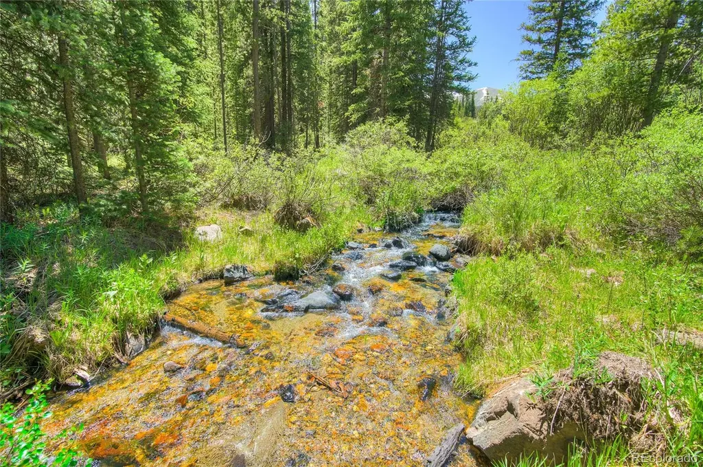 133 Adams Way Breckenridge CO 80424