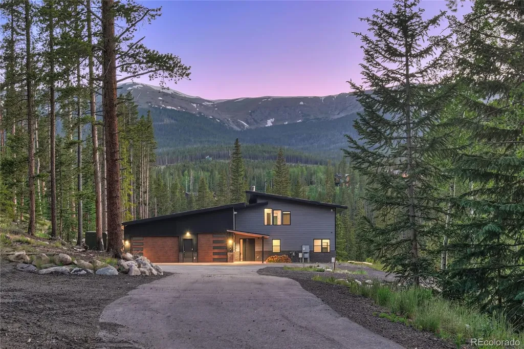133 Adams Way Breckenridge CO 80424