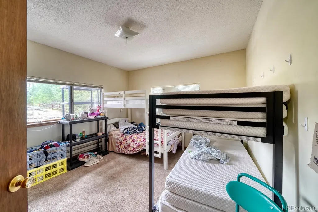 1499 County Road 24 Twin Lakes CO 81251