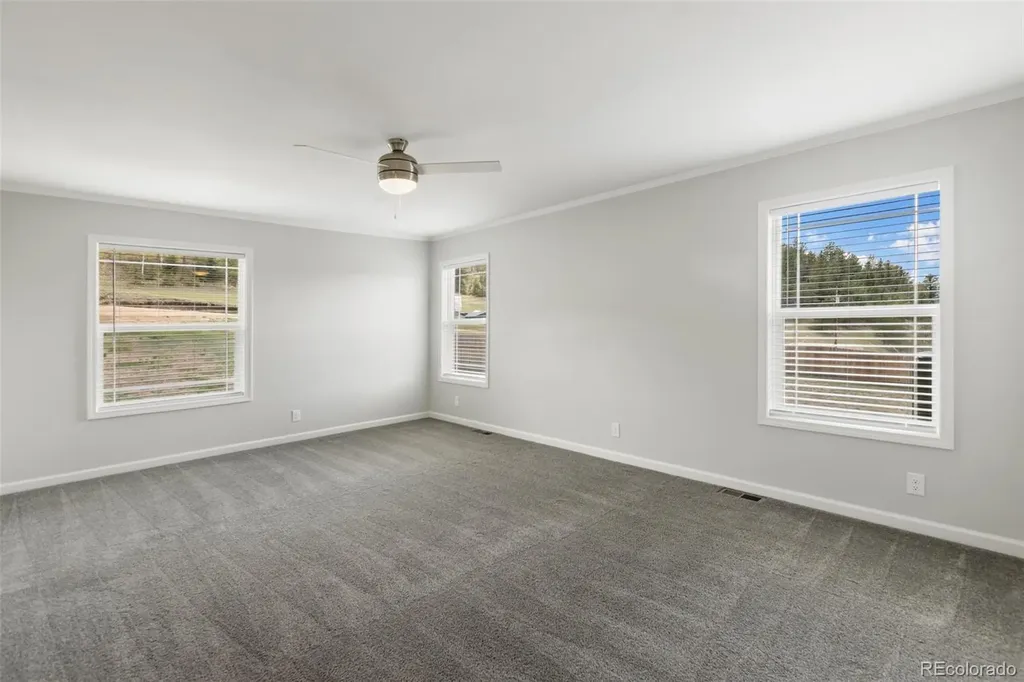 740 Crystal Peak Road Florissant CO 80816