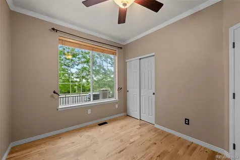 580 Green Ash Street Littleton CO 80129