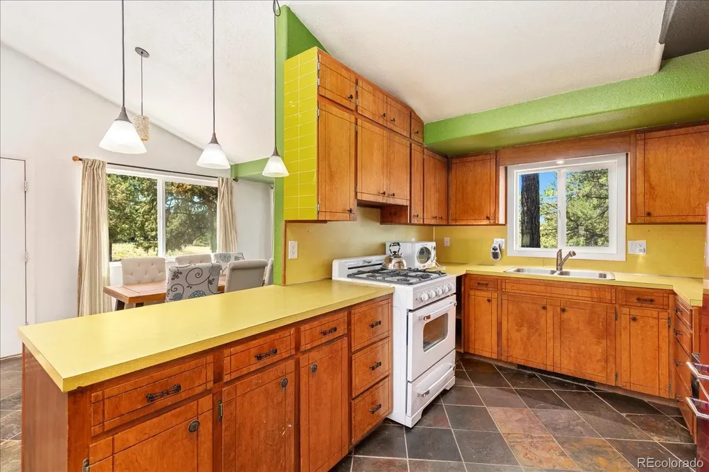 296 Palomino Way Crestone CO 81131