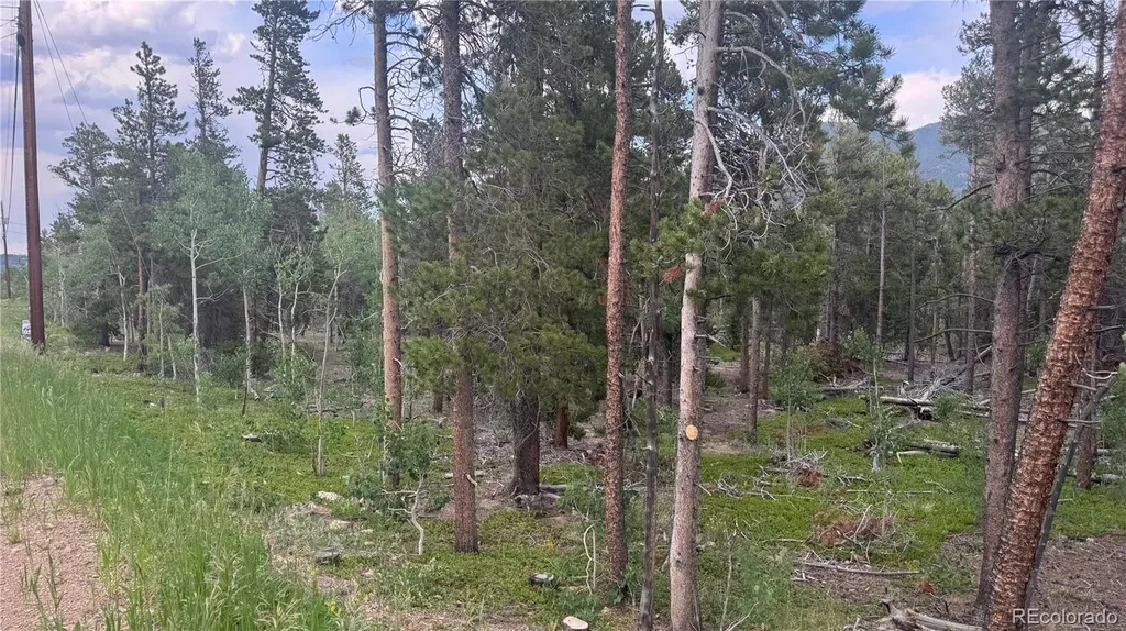 Lot 30 Lodge Pole Drive Black Hawk CO 80422