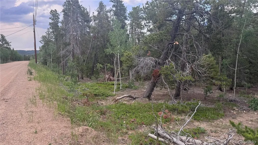 Lot 30 Lodge Pole Drive Black Hawk CO 80422