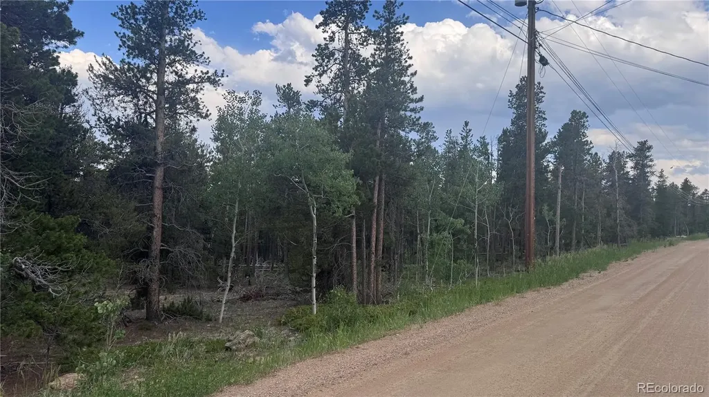 Lot 30 Lodge Pole Drive Black Hawk CO 80422