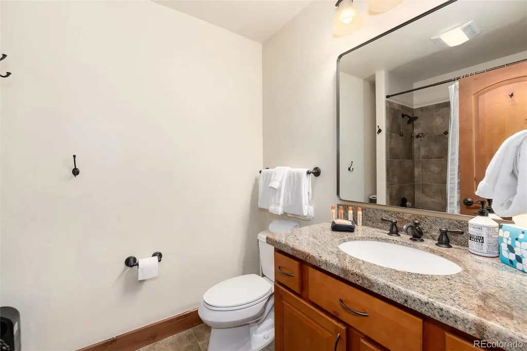 89 Snowshoe Circle Breckenridge CO 80424