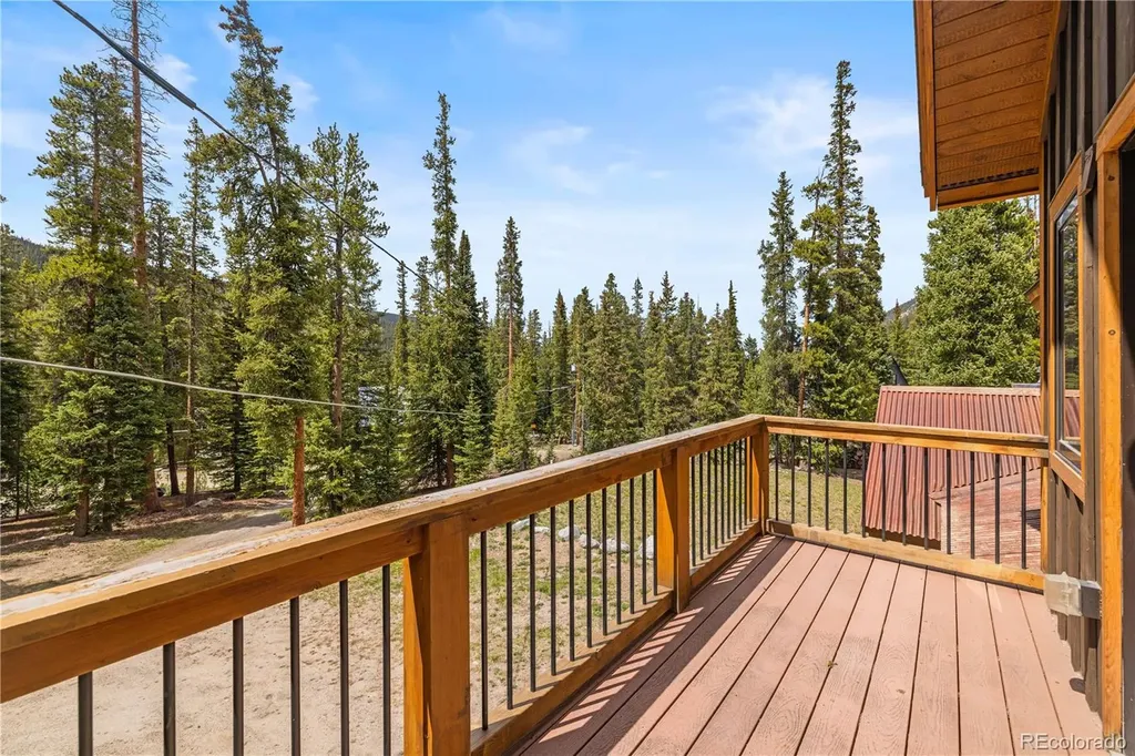 53 Rena Road Breckenridge CO 80424