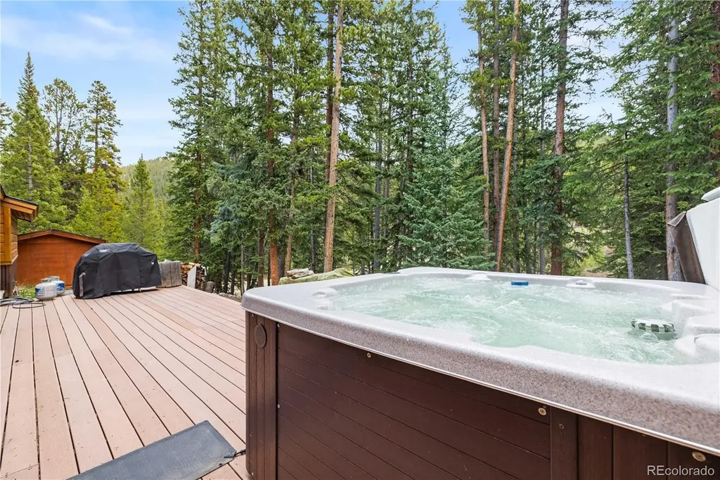 53 Rena Road Breckenridge CO 80424
