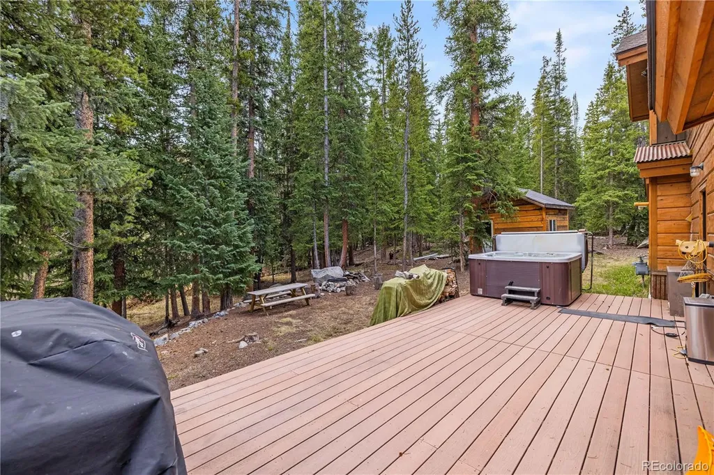 53 Rena Road Breckenridge CO 80424