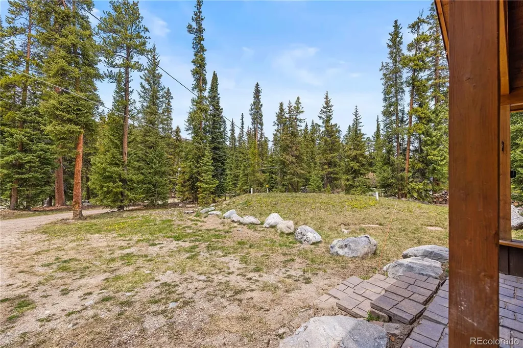 53 Rena Road Breckenridge CO 80424