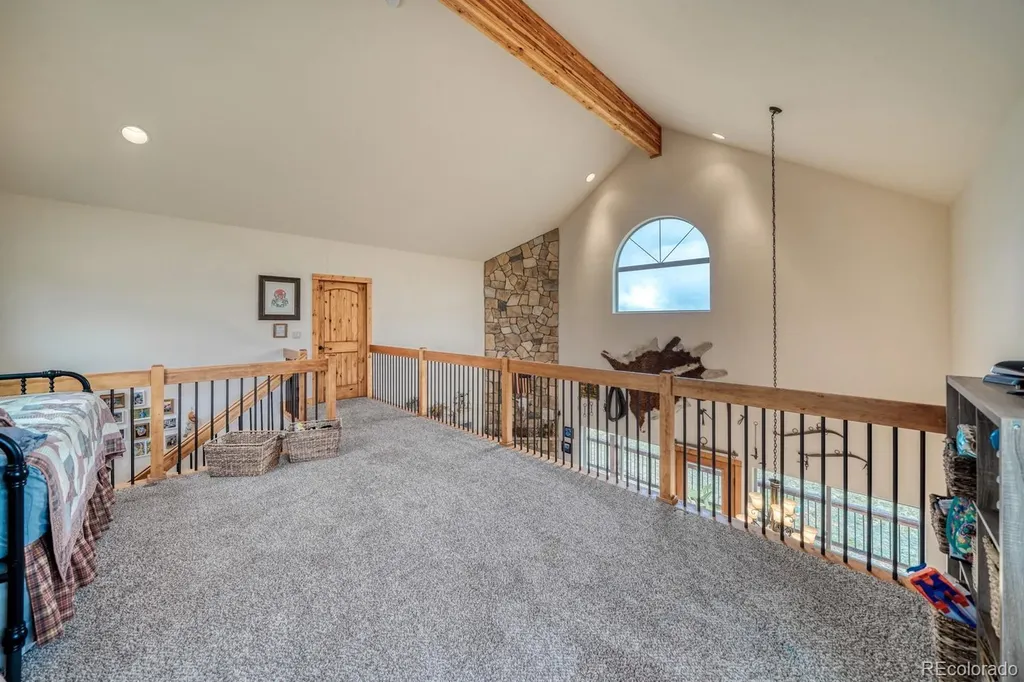 2977 High Creek Road Fairplay CO 80440