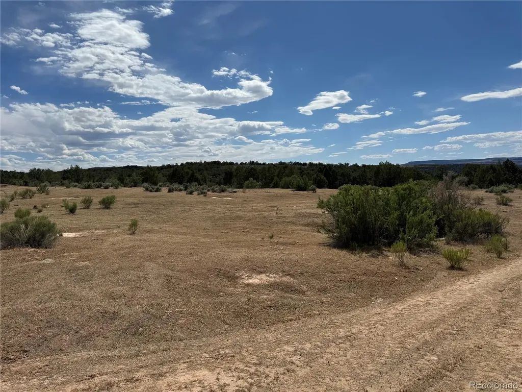 4530 Horse Canyon Road De Beque CO 81630