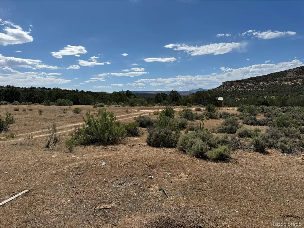4530 Horse Canyon Road De Beque CO 81630