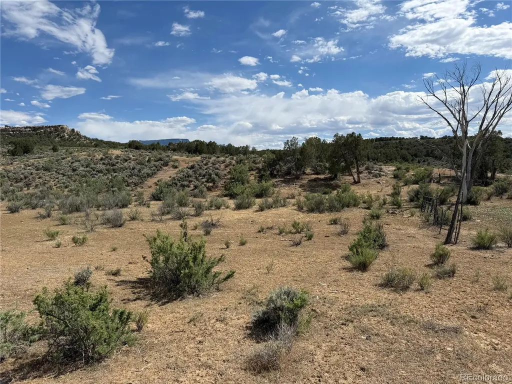 4530 Horse Canyon Road De Beque CO 81630