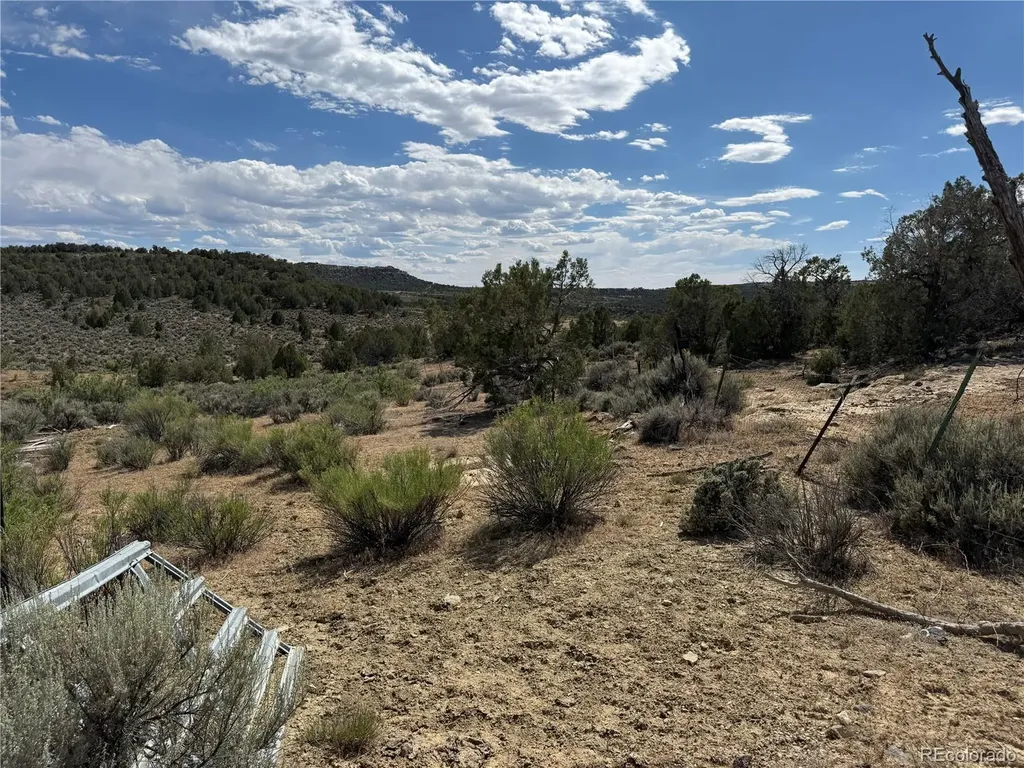 4530 Horse Canyon Road De Beque CO 81630