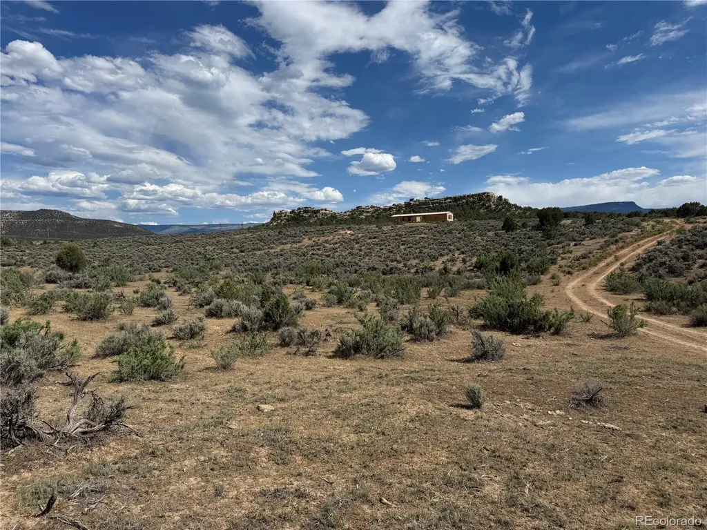 4530 Horse Canyon Road De Beque CO 81630