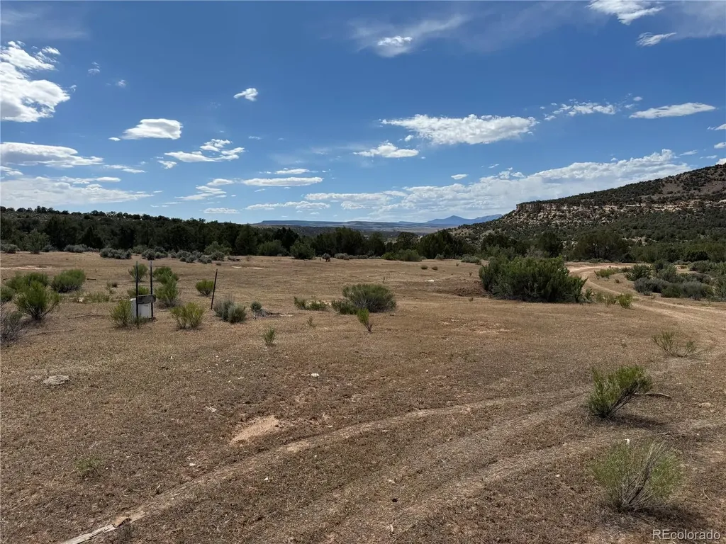 4530 Horse Canyon Road De Beque CO 81630
