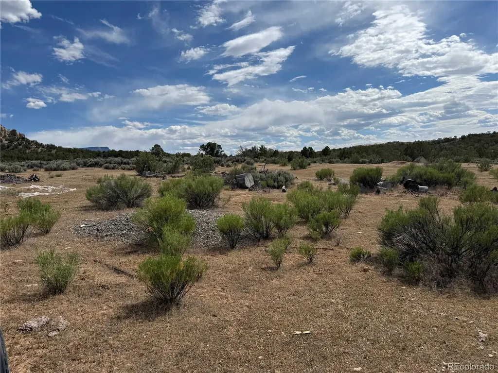 4530 Horse Canyon Road De Beque CO 81630