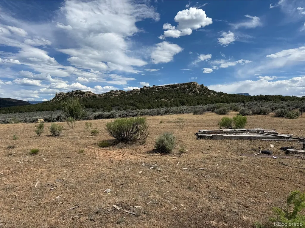 4530 Horse Canyon Road De Beque CO 81630