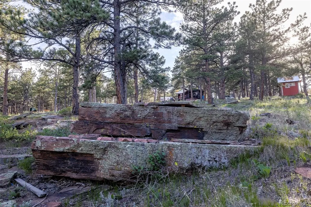 Lewis Lane Lyons CO 80540