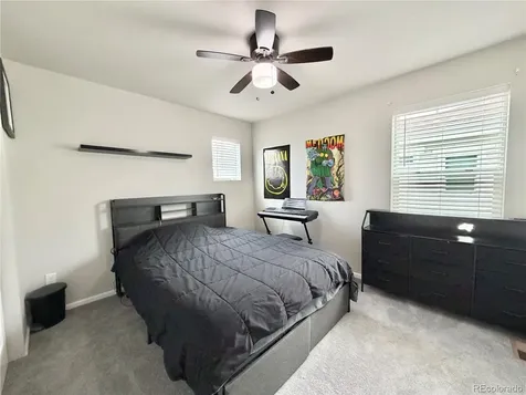 5326 Coltin Trail Castle Rock CO 80104