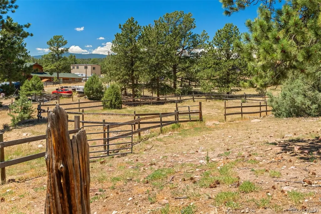 114 Star Lane Bailey CO 80421