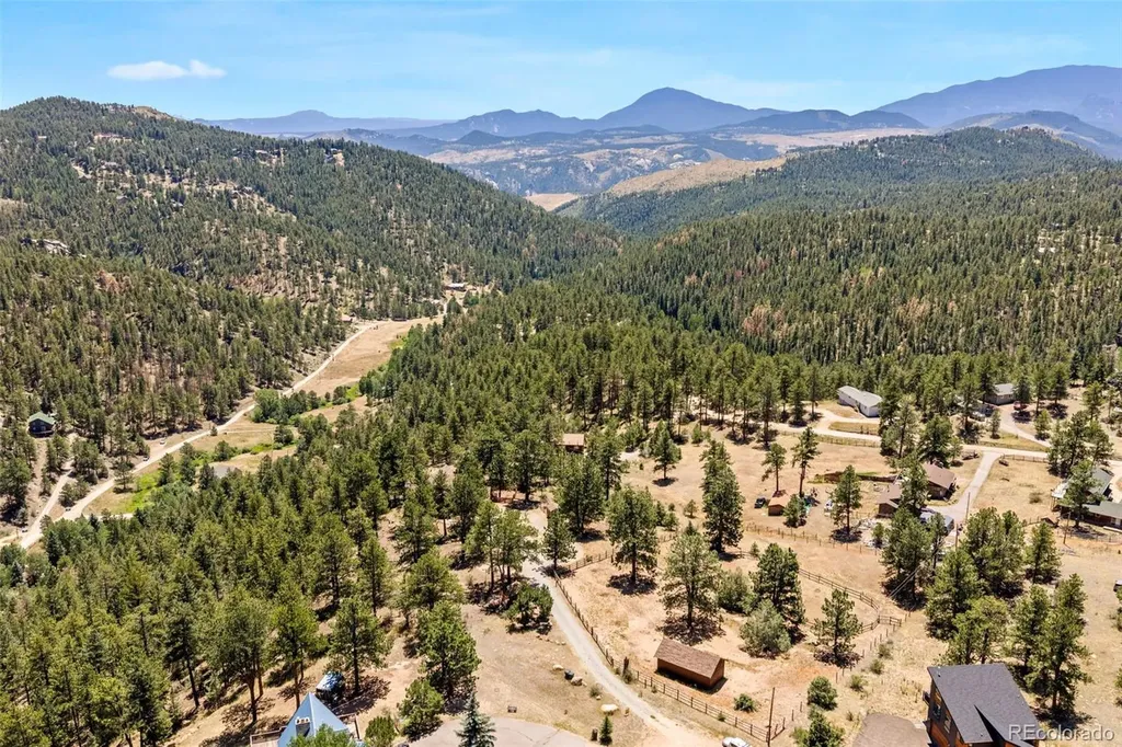 114 Star Lane Bailey CO 80421