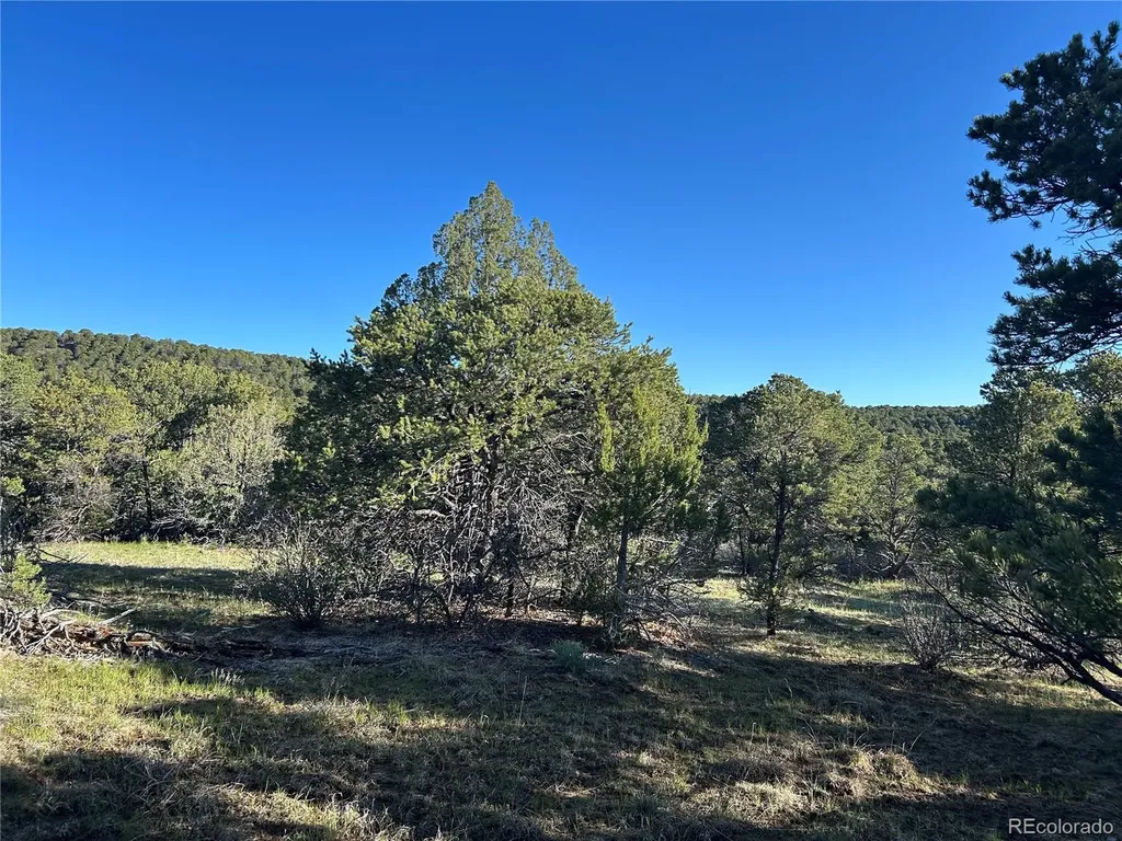 Lot 165 Silver Spurs Ranch Walsenburg CO 81089