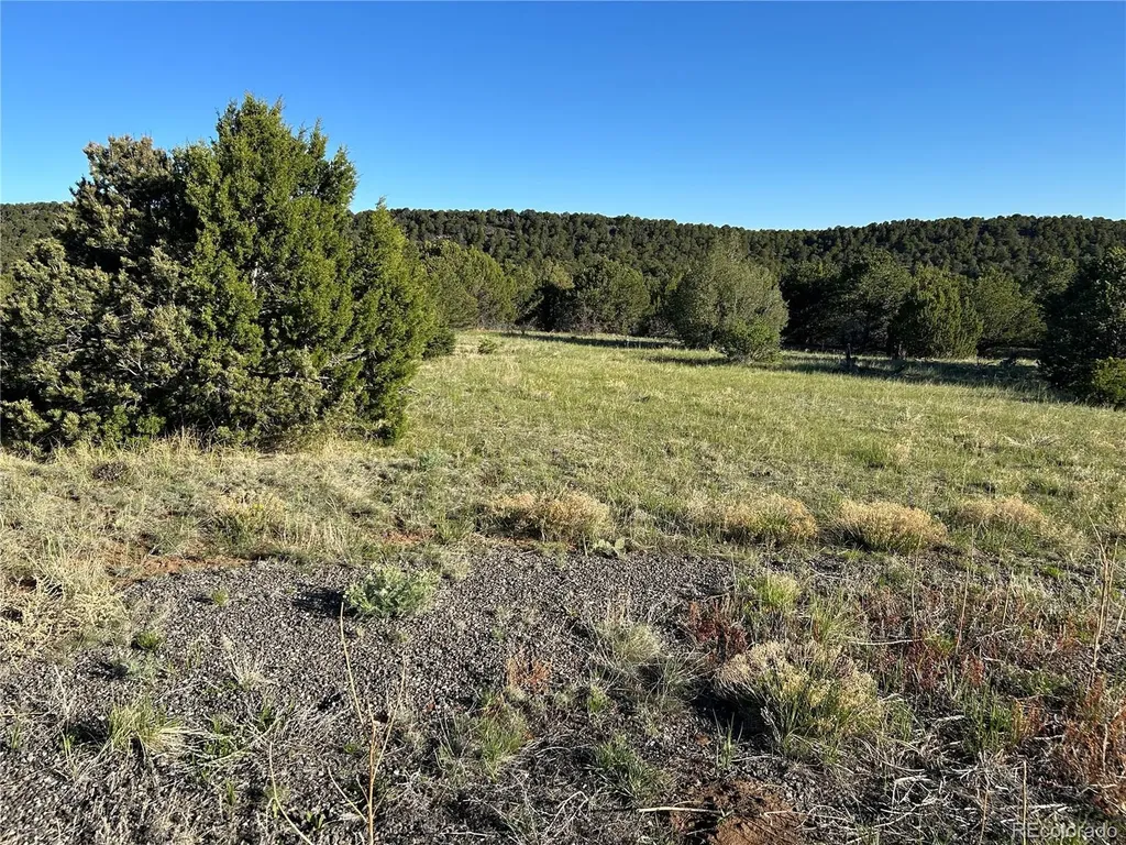 Lot 165 Silver Spurs Ranch Walsenburg CO 81089