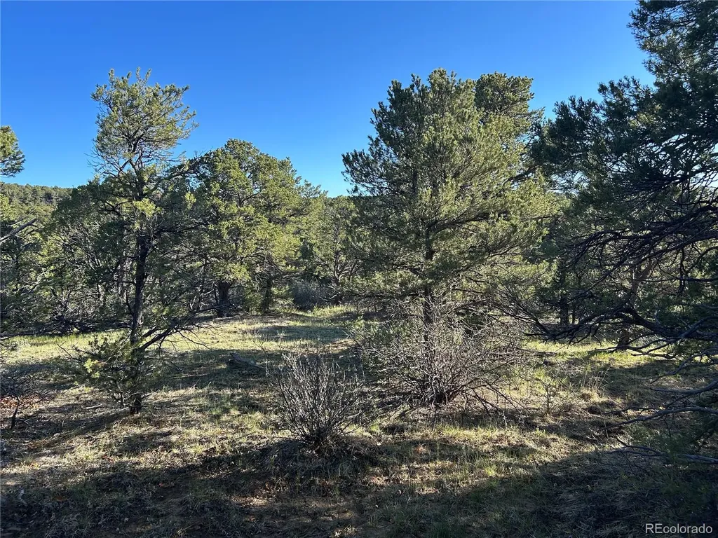 Lot 165 Silver Spurs Ranch Walsenburg CO 81089