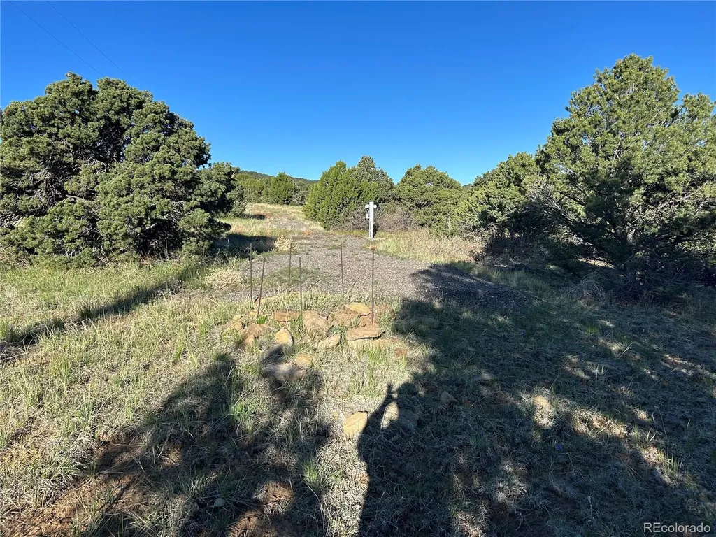 Lot 165 Silver Spurs Ranch Walsenburg CO 81089